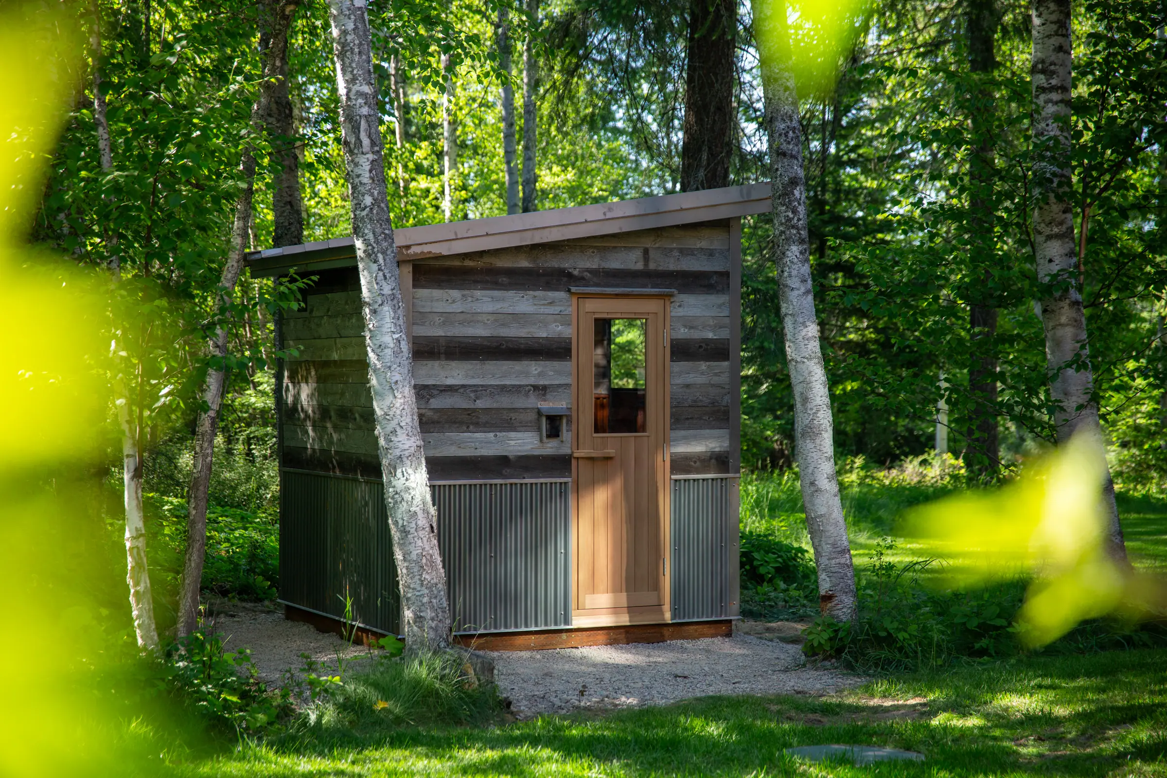Reclaimed-wood sauna with a corrugated metal base among birch trees